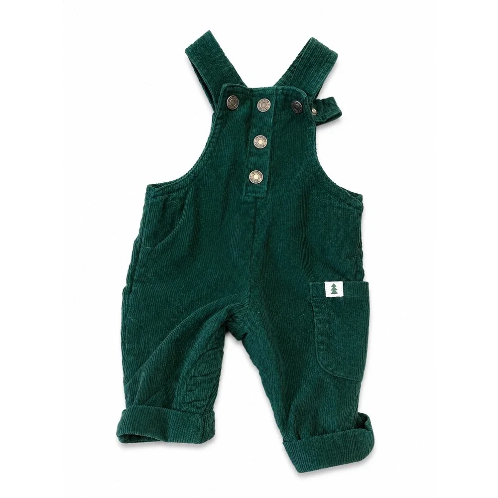 Carters Newborn Baby Boy Green Corduroy Overalls and Knit Sweater Set